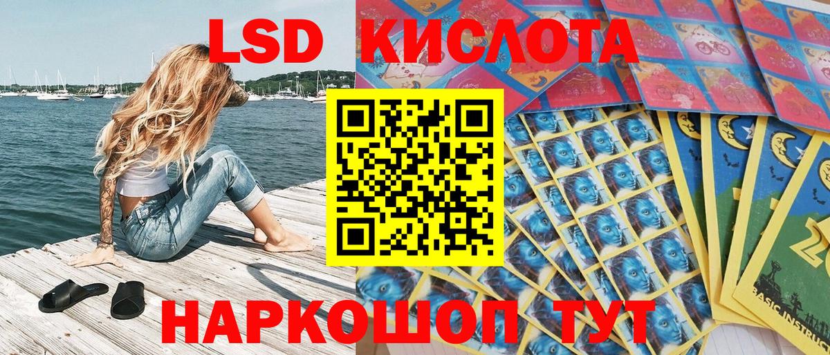 Бошки Шишки Можга