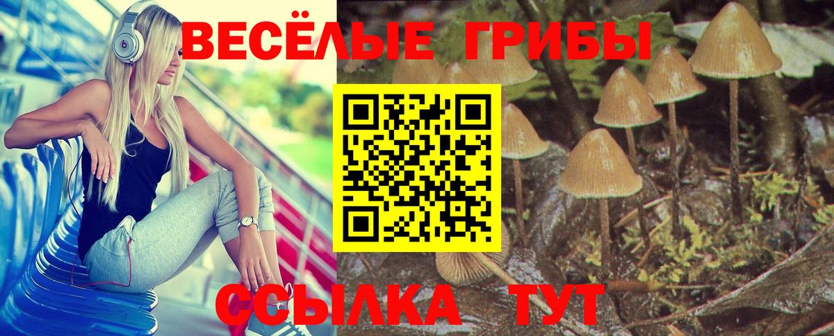 Псилоцибиновые грибы GOLDEN TEACHER  Псилоцибиновые грибы Psilocybine cubensis  Можга  Вход с VPN 
