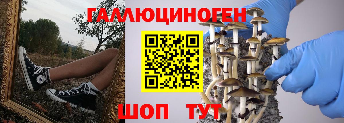 Каннабис  МЕТАДОН  Можга  Мефедрон кристаллы  ГАШИШ  COCAIN  АМФ кристаллы  Вход с VPN 