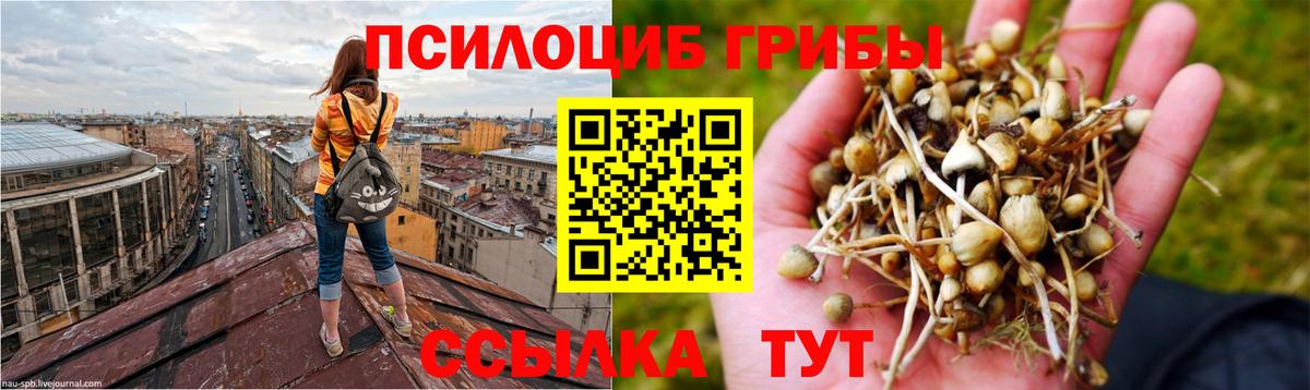 Галлюциногенные грибы MAGIC MUSHROOMS Можга